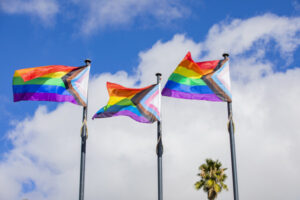Pride projects given the rainbow light