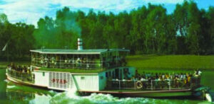 Peeps in the Past: Birdwoodton Diggers settle in well