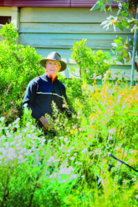 Ready for blooms: Mildura predicted to face warmer than usual spring