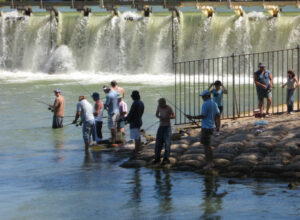 Revealed: Why weir works have been delayed