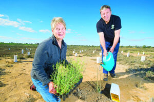Volunteers plant urban paradise