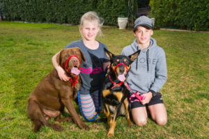 Off-leash dog creates havoc on Lake Hawthorn walk