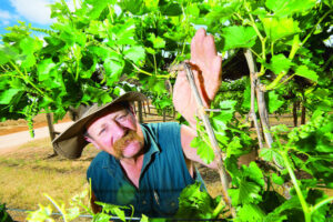 Dried fruit brings in big business