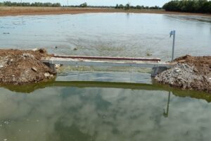 Irrigation webinar covers water price risk