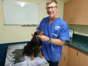 Visa battle not working for vet industry