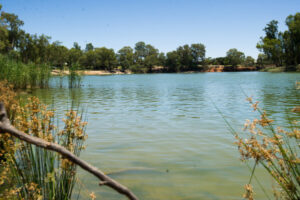 Blue green algae alerts remain in place
