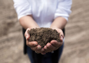 Healthy soil in focus at Mallee event