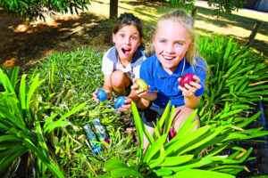 Chocoholics in a hop for Easter hunt