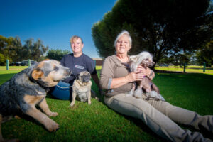 Dogs will at last have their day