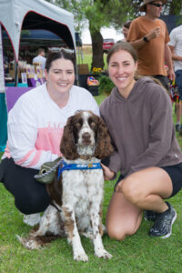 Market’s gone to the dogs