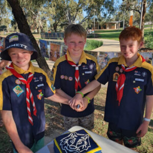 Cubs join grey wolf pack