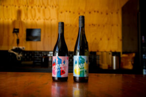 New wines set for big future