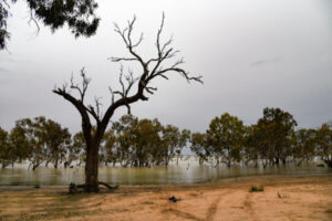 Poor return on $13b for basin