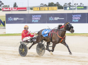 Young Bluey aiming for purple patch