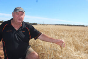 Harvest race is on