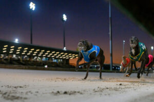Morton sets pace for Group 1 race
