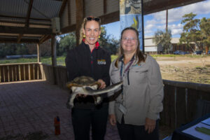 Learning how to protect turtle nests