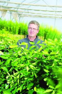 Call to help keep citrus bane at bay