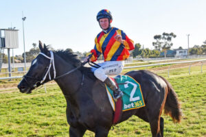 More Than Exceed succeeds in Mildura Cup