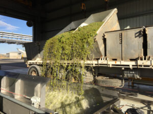 Mallee and Sunraysia operations high in Aussie agribusiness