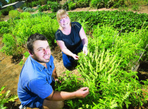 Door opens on sustainability