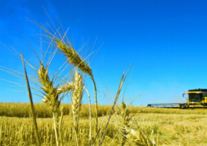 Call for chemical care