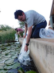 Students breed rare native fish