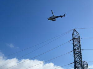 Transgrid to check on powerline safety