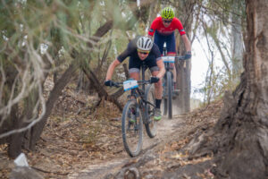 What’s on this weekend: Doggies on show at Quandong Park