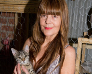 Pets not ‘throw-away’ items, says Sunraysia cat rescuer