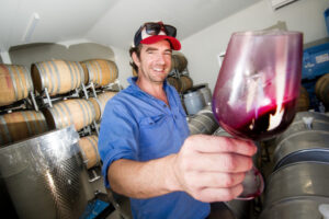 Italian grapes a taste of the future