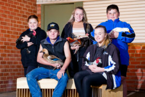 Fanciers flock to Mildura Open Poultry Show