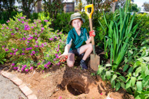 Irymple students heartbroken by theft from school garden