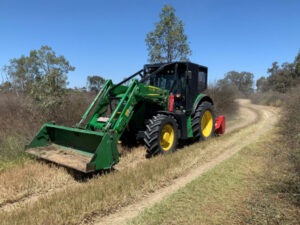 High grass slashed to reduce fire risk