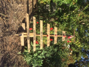 Christmas tree partners bring joy to the world