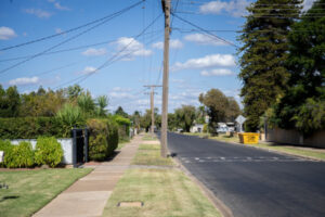 Tree planting effort good to grow