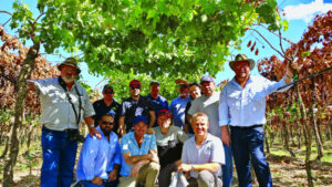 Growers bring ideas back from the US