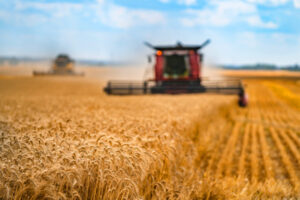 About turn on Mallee farm values