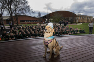 Indi’s one very good girl