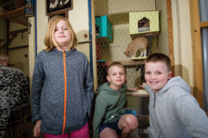 Big day out for cat fanciers