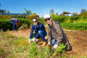 Mildura Eco Village warriors get to work on clean-up