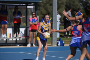 Wentys women make it hard for Swallows