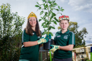 Wattle planting a double celebration