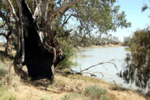 Alert lifted on Anabranch