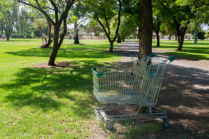 Unruly youths target Green Pines Park