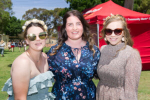 Perfect conditions for Wentworth Cup race crowd