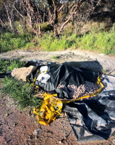 Birding visit was a bit rubbish