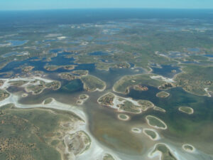 Floodplain harvesting ‘on balance’ an offence – NSW lawyers