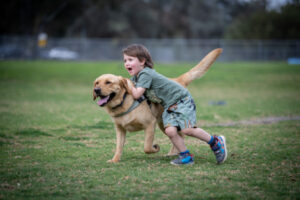 Dog park will have its day