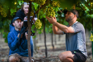 Table grape industry gets back to growing its exports